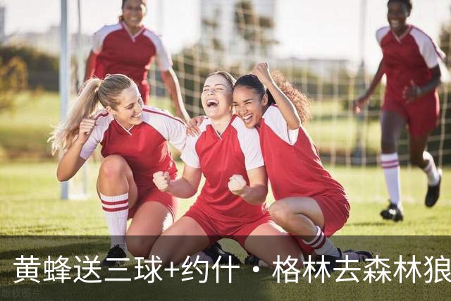 黄蜂送三球+约什·格林去森林狼 换里德+1首轮+3互换+3次轮